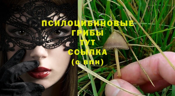 герыч Козловка