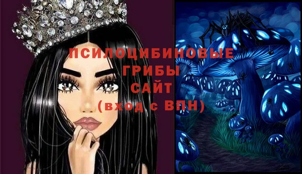 герыч Козловка
