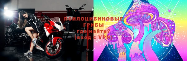 спайс Кодинск