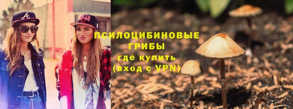 дмт Иноземцево